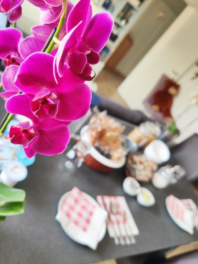 B&B Luvi Verona Buitenkant foto